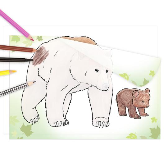 Animales Salvajes. Libro para calcar y colorear