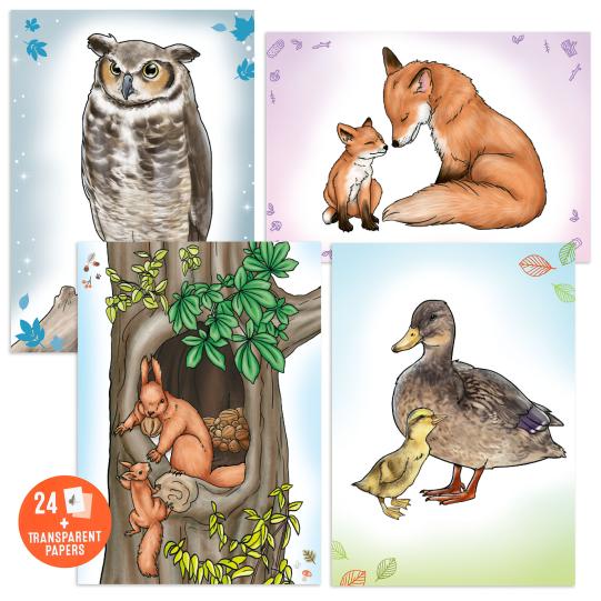 Animales Salvajes. Libro para calcar y colorear