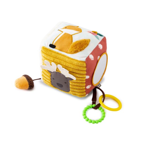 Cubo de Actividades Bosque