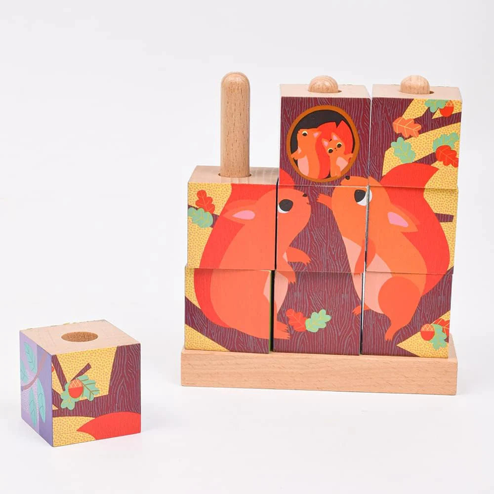 Puzzle 9 Cubos de Madera Puzz-Up Forest