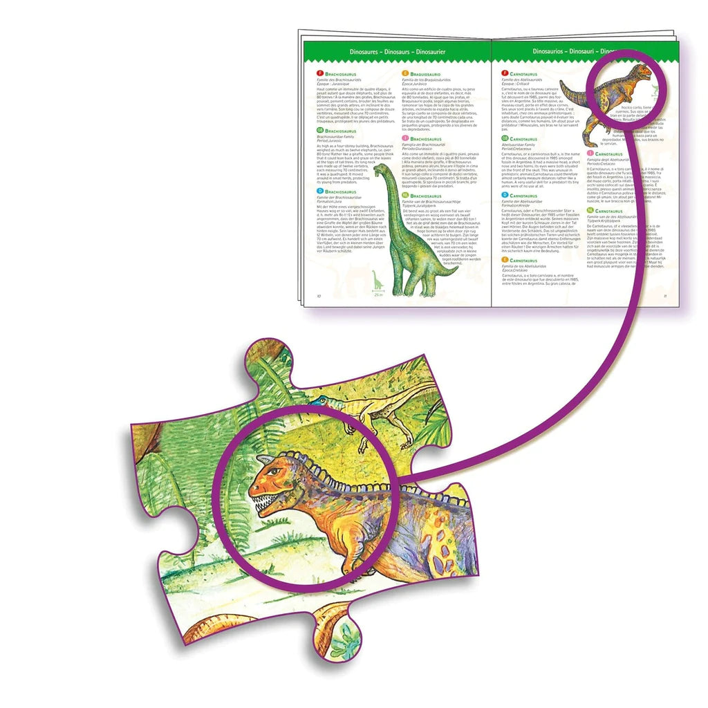 Puzzle Observación Dinosaurios 100 Piezas
