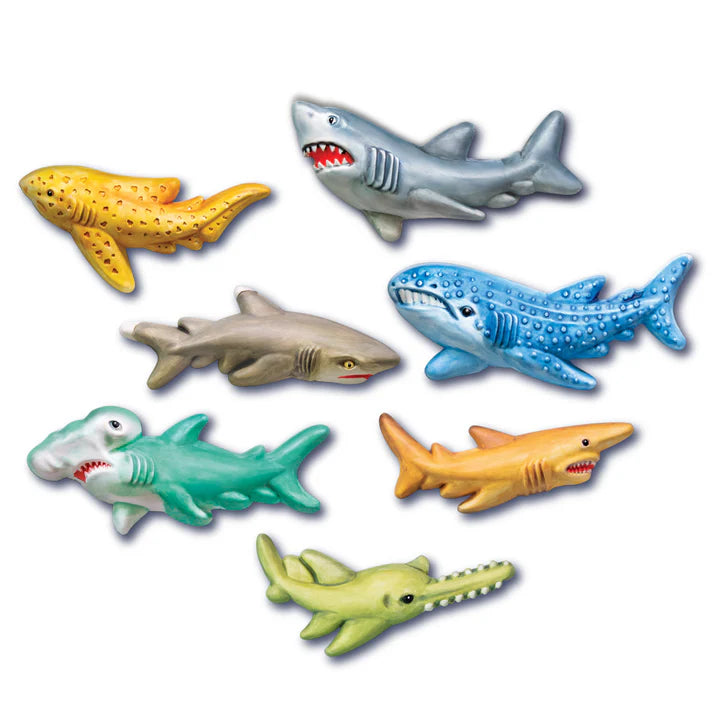 Moldea Pinta Tiburones