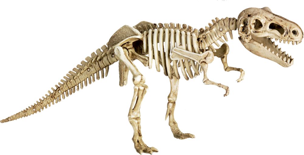 Set de Excavación 2 en 1 T-Rex