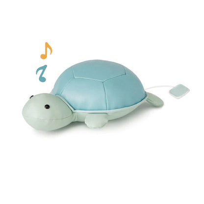 Animales Musicales. Emilia la Tortuga