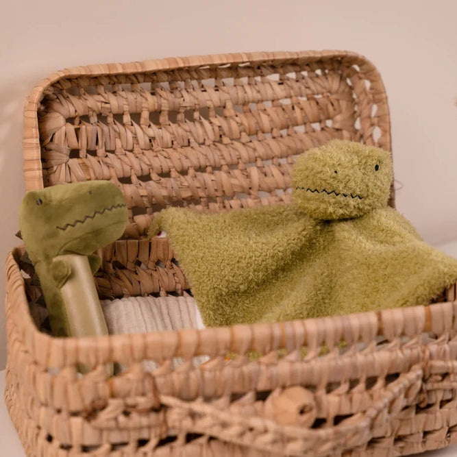 Caja regalo para bebé - Dinosaurios