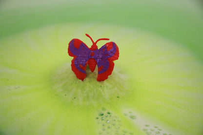 Bombas Anillo de Mariposa Sorpresa