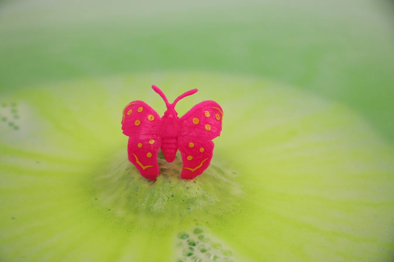 Bombas Anillo de Mariposa Sorpresa