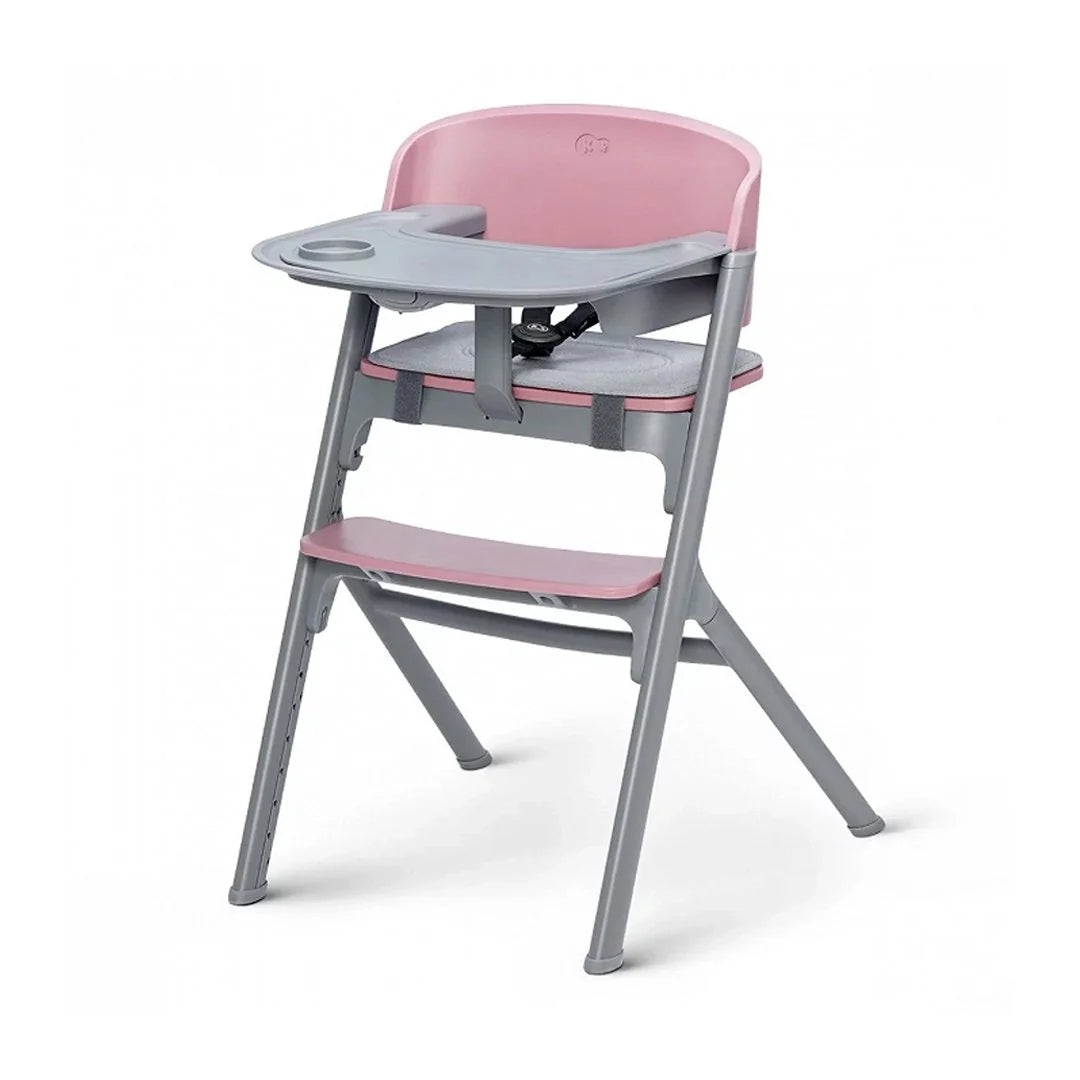 Silla de comer evolutiva Livy Aster Pink