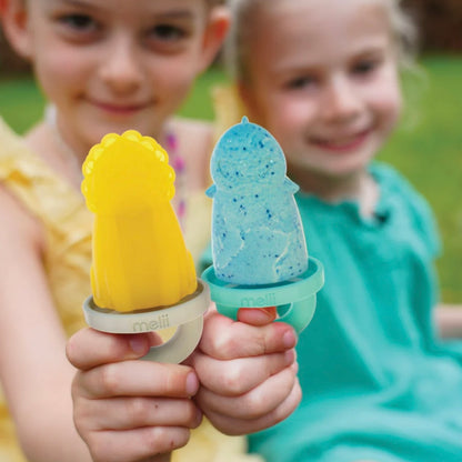 Pack de 6 moldes paletas de helados